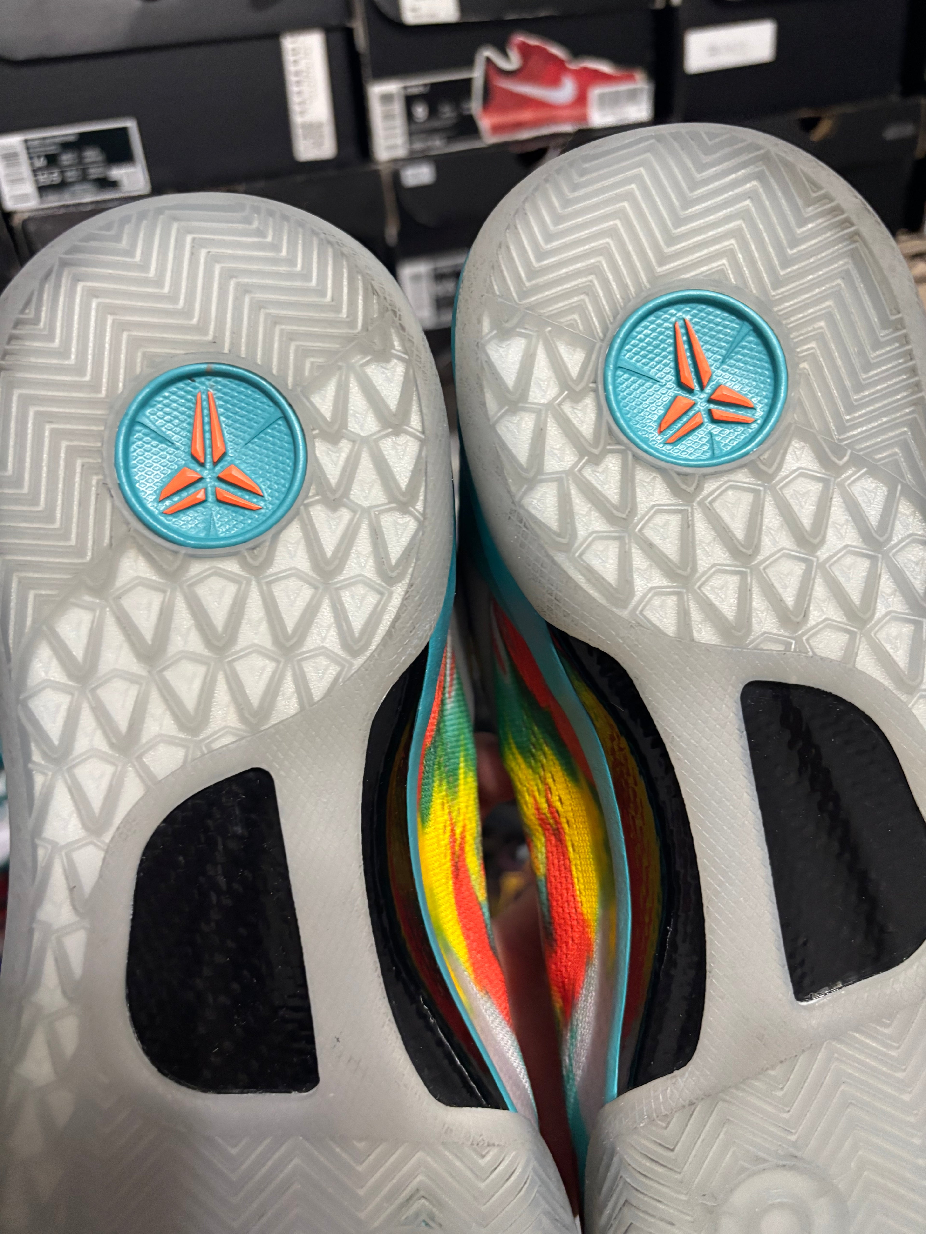 Size 11.5 - Nike Kobe 8 Protro Venice Beach