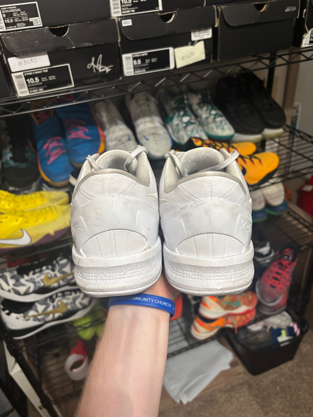 Size 14 - Nike Kobe 8 Protro Halo