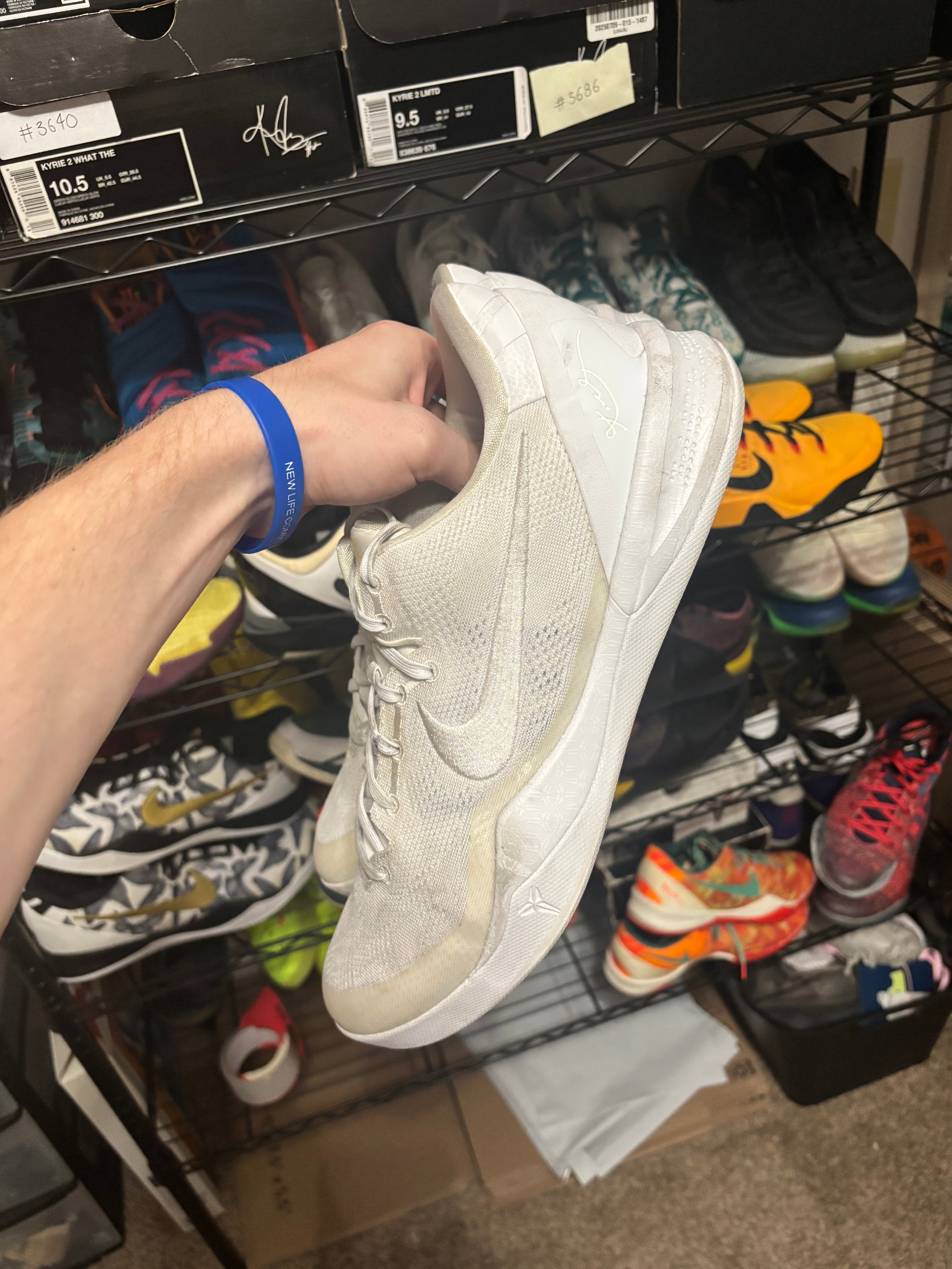 Size 14 - Nike Kobe 8 Protro Halo