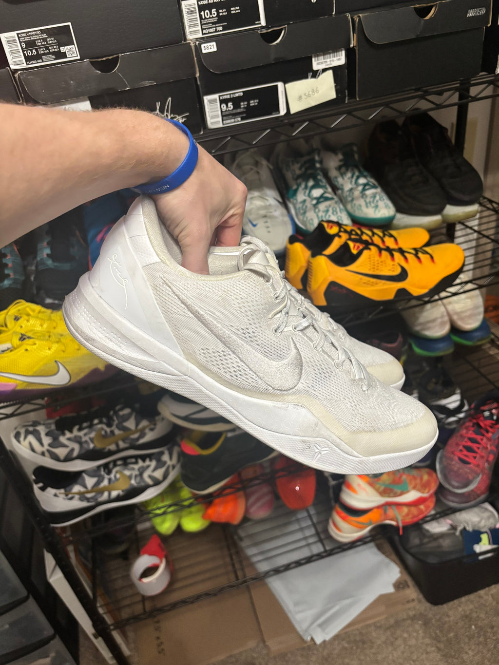 Size 14 - Nike Kobe 8 Protro Halo