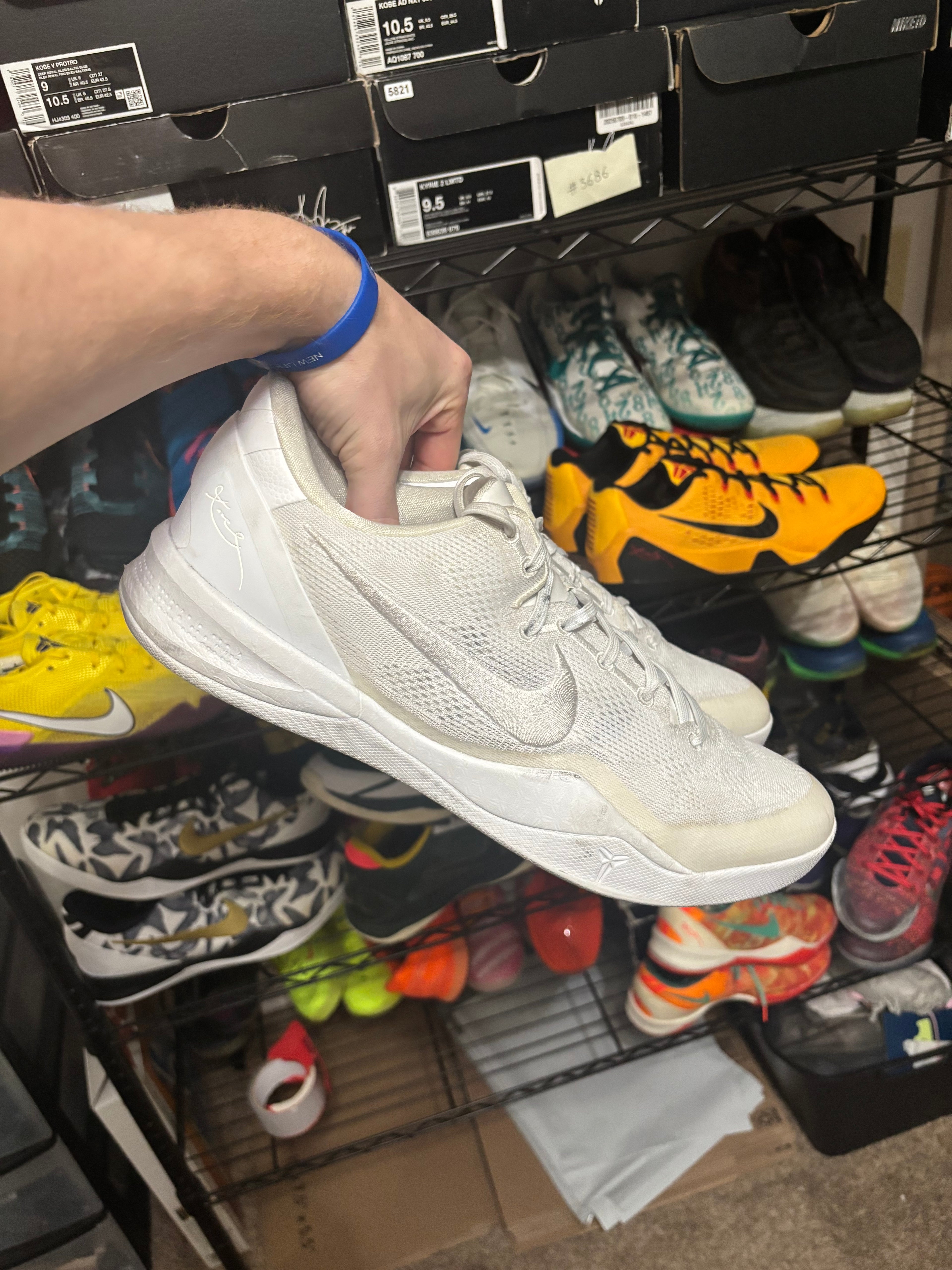 Size 14 - Nike Kobe 8 Protro Halo