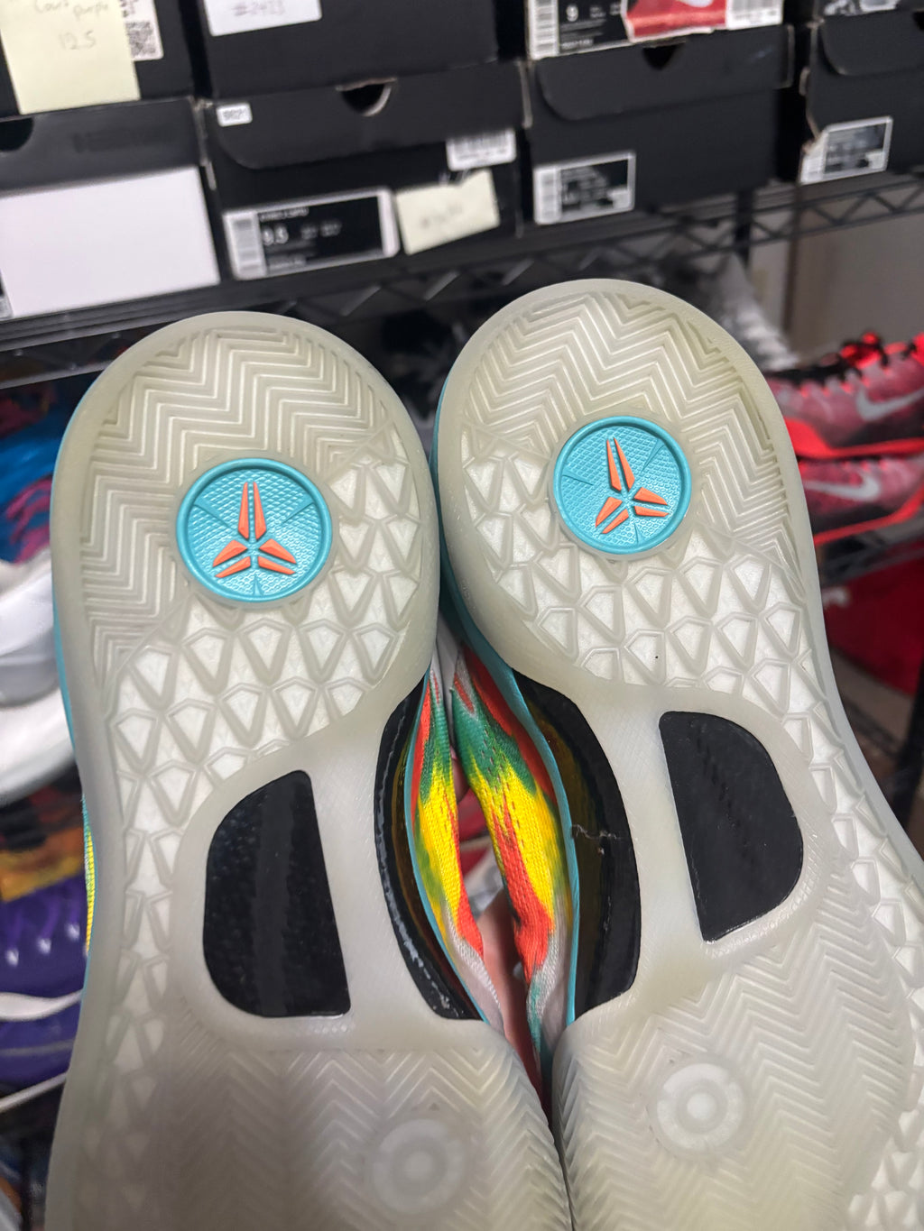 Size 11 - Nike Kobe 8 Protro Venice Beach