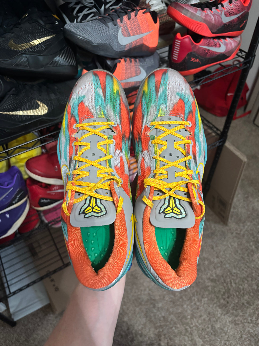 Size 11 - Nike Kobe 8 Protro Venice Beach
