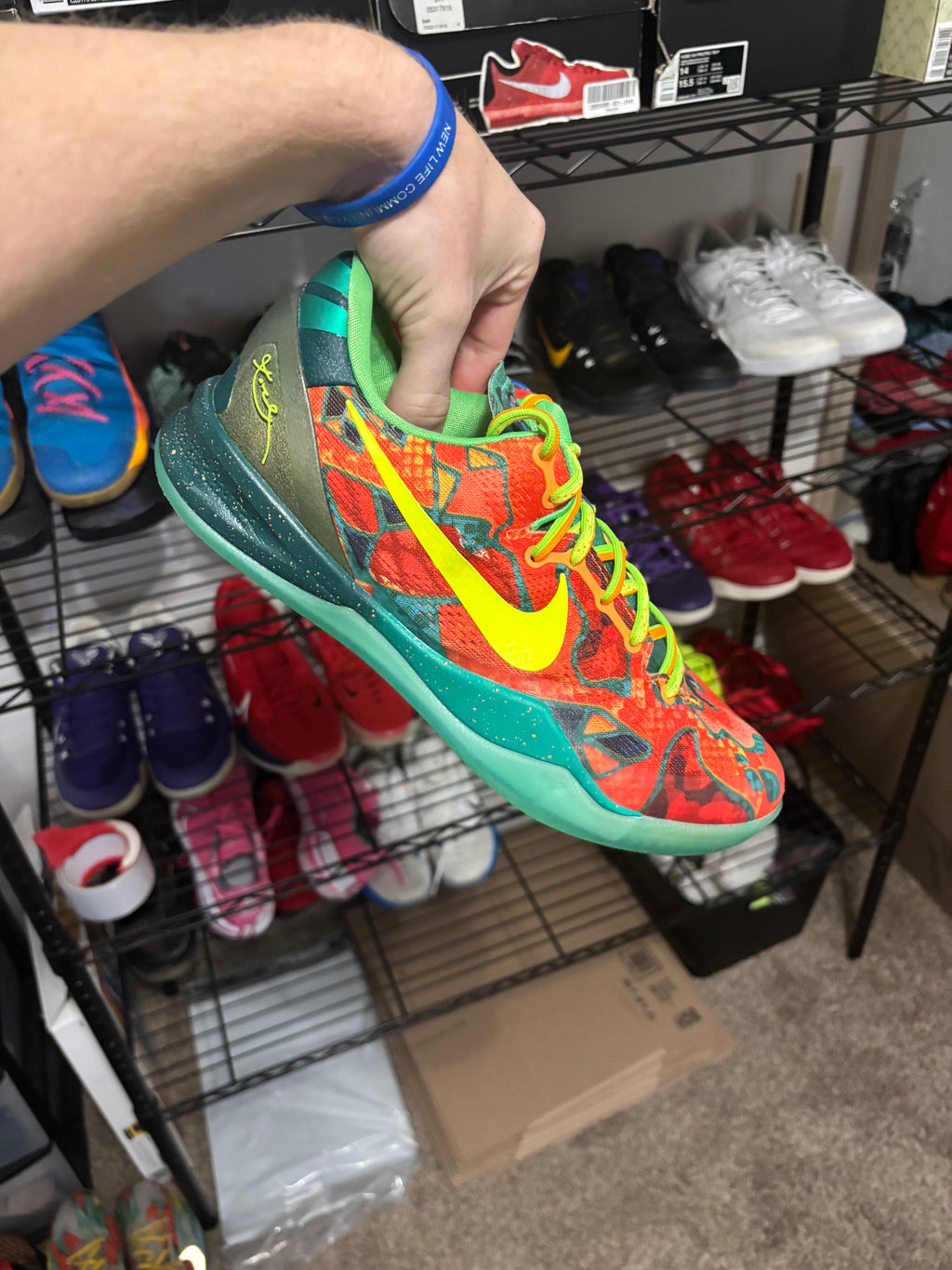 Size 9.5 - Nike Kobe 8 Protro What The
