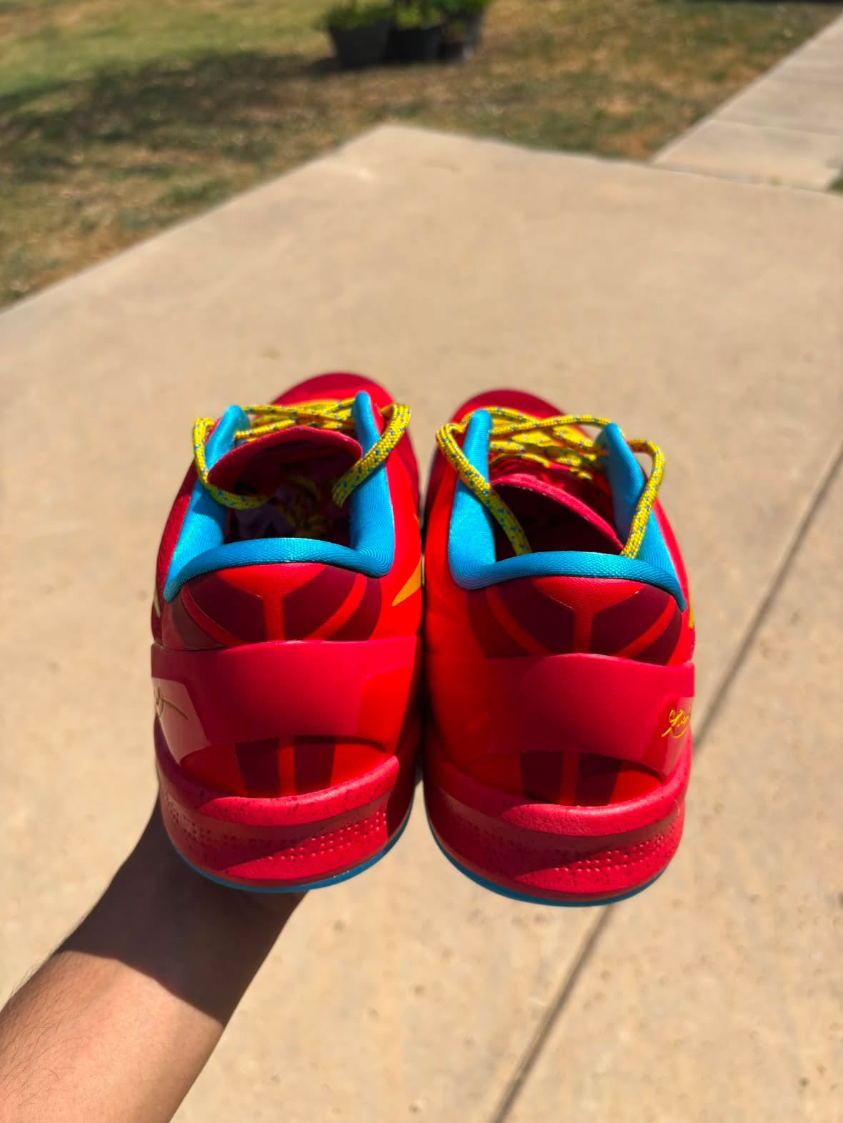 Size 12 - Nike Kobe 8 Protro Year Of The Horse