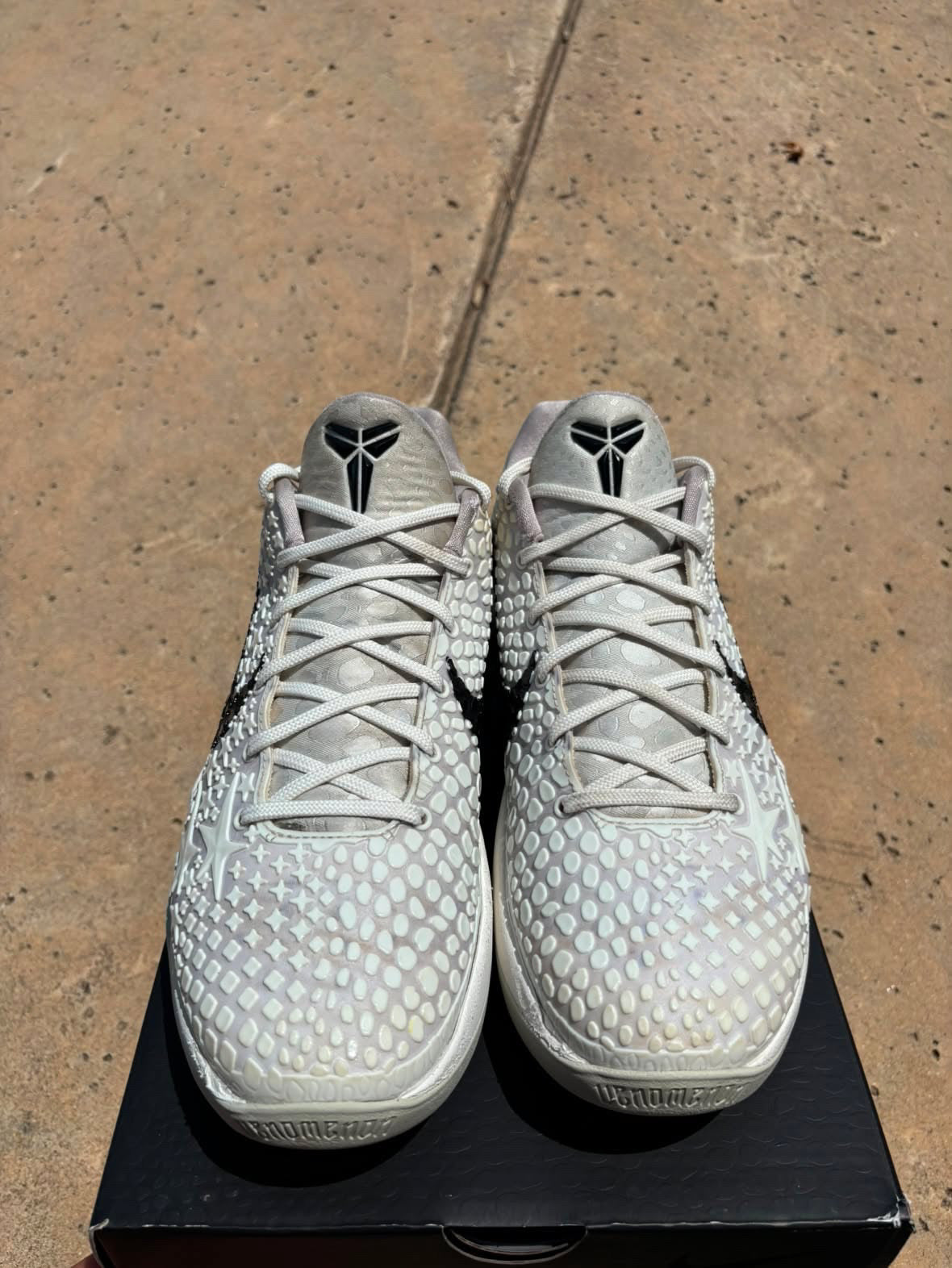 Size 11 - Nike Kobe 6 Protro All Star 2.0