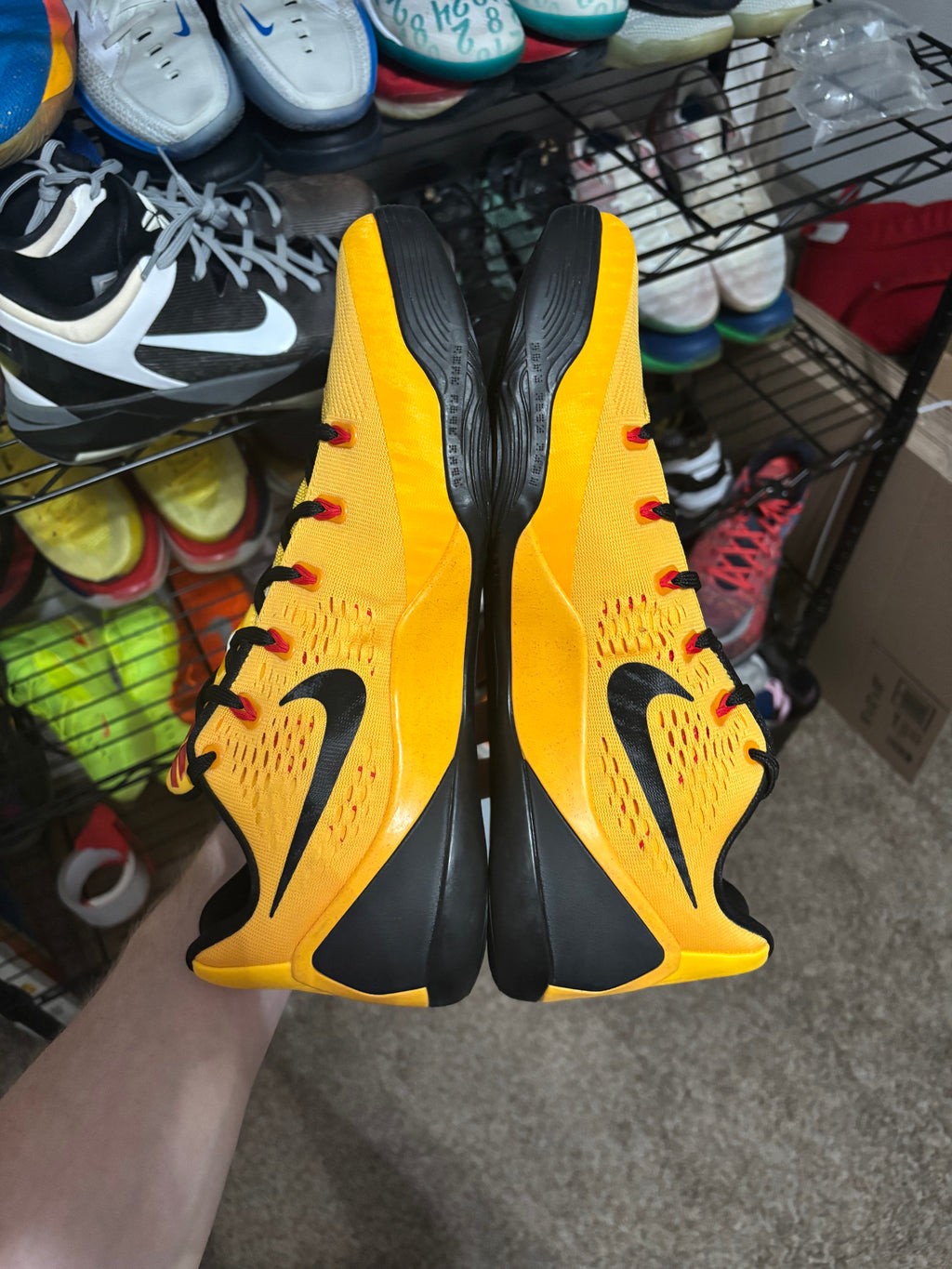 Size 13 - Nike Kobe 9 Bruce Lee