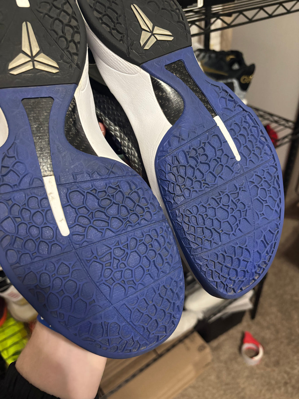 Size 10 - Nike Kobe 6 Purple Gradient
