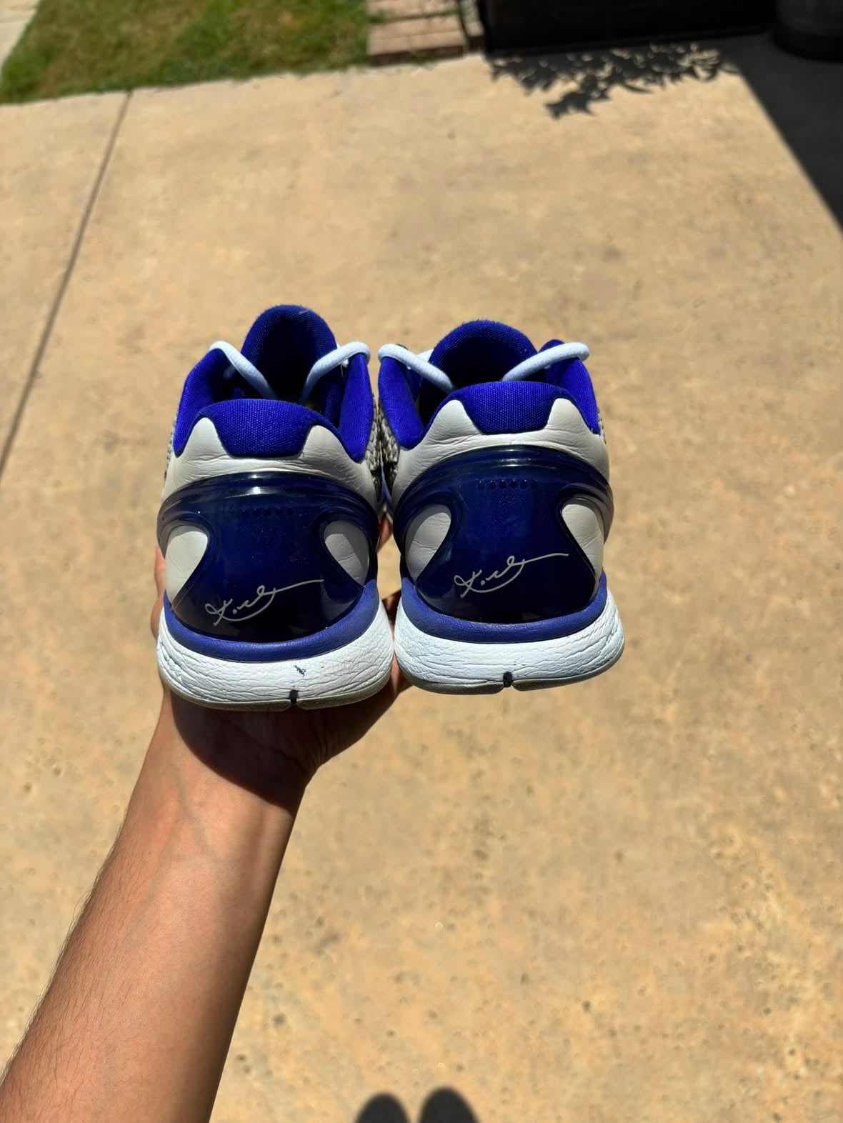 Size 10 - Nike Kobe 6 Concord