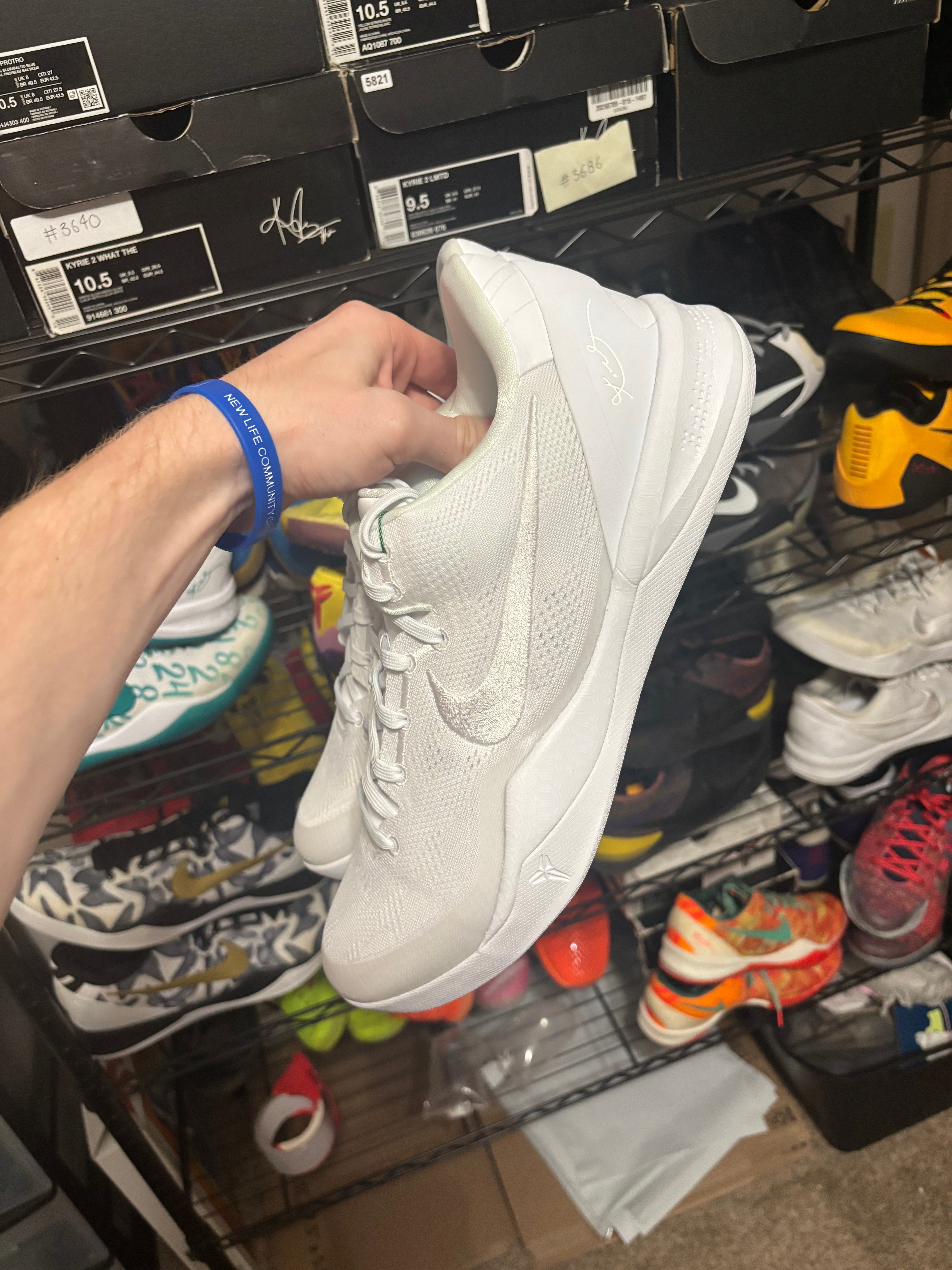 Size 14 - Nike Kobe 8 Protro Halo