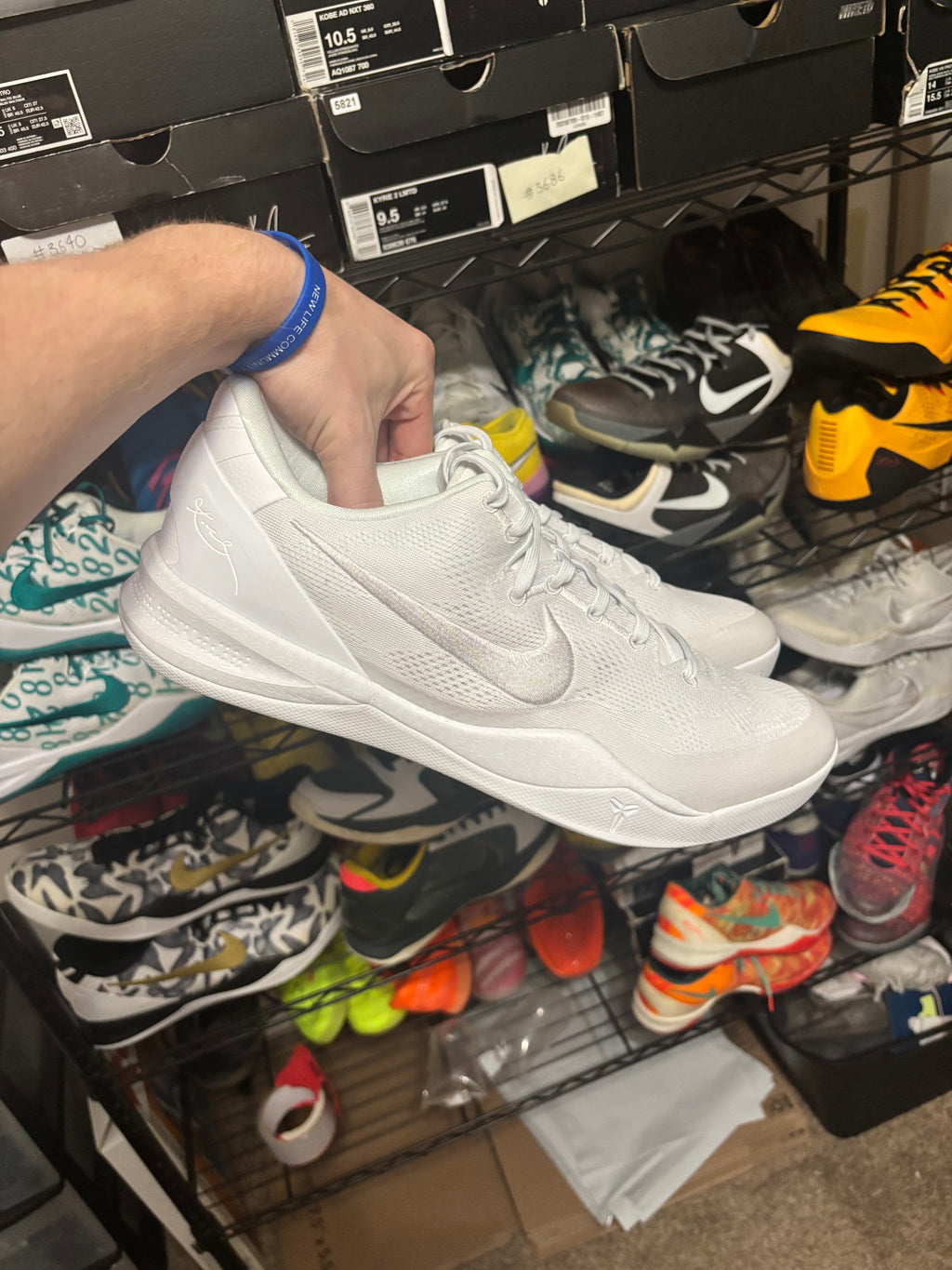 Size 14 - Nike Kobe 8 Protro Halo