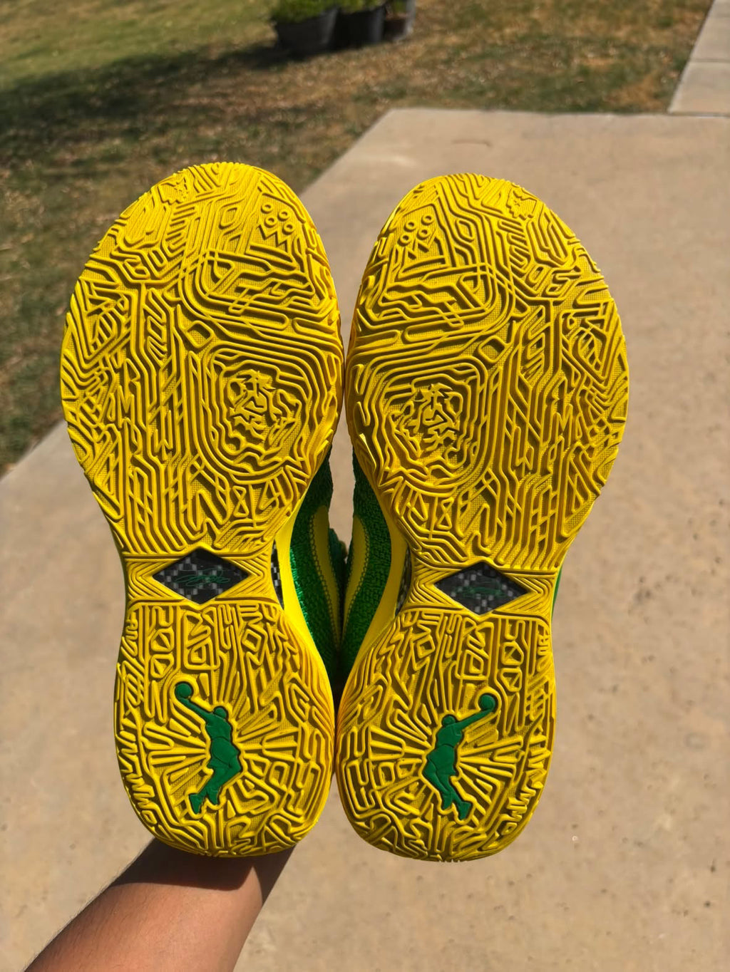 Size 12.5 - Nike LeBron 20 Oregon PE Green