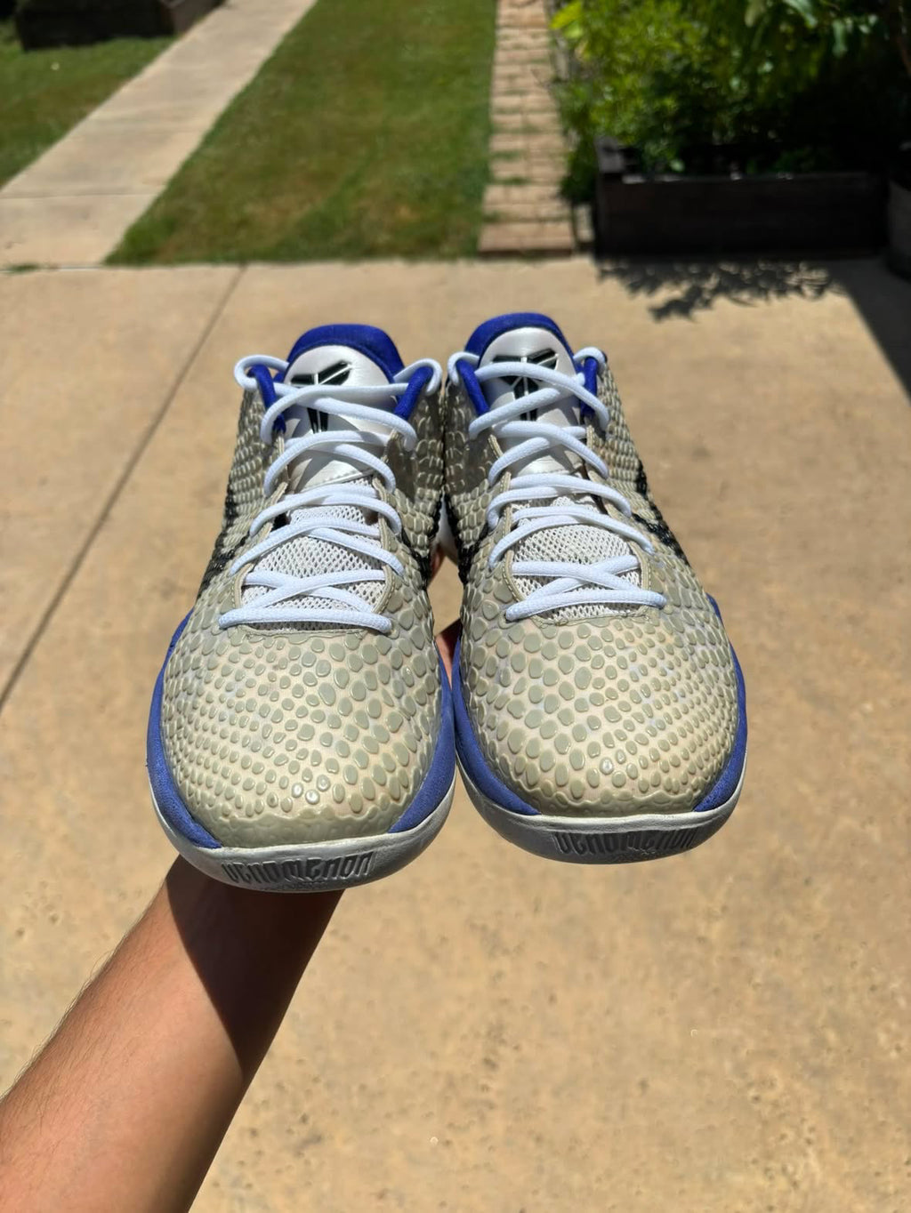 Size 10 - Nike Kobe 6 Concord
